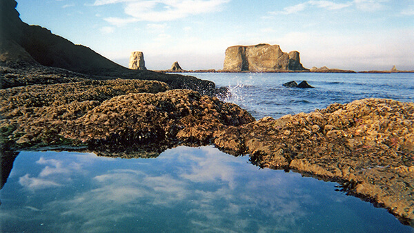 a rocky coastline with tidepools in foreground and sea stacks in the distance