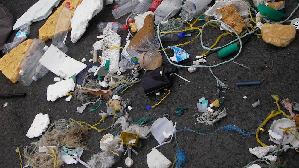Styrofoam, plastic bottles, fishing rope, tubes, and other plastic pieces - some as big as a trash can and others as small as a bottle cap - cover a sandy beach..