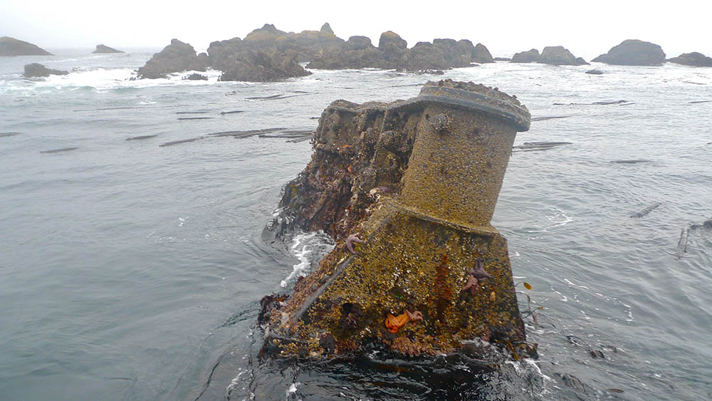 the remains of a ship engine block in very shallow water along a shoreline, covered with kelp and sea stars.