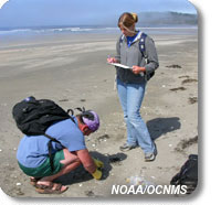 photo of 2 volunteers monitoring on the beach