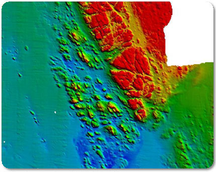 Image of substrate 15 m deep showing seqfloor with rock outcrop amidst sandy bottom seafloor.