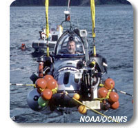 photo of a scientist in a submersible