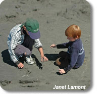 photo of children beachcombing