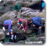 photo of children investigating a tidepool