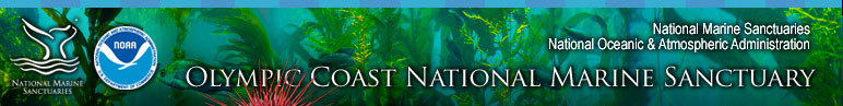 Olympic Coast National Marine Sanctuary Library includes Photos, Videos, Documents, and Downloadable Flyers and Posters
