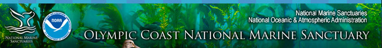 Olympic Coast National Marine Sanctuary News and Events