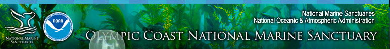Olympic Coast National Marine Sanctuary Science section includes Seafloor Mapping, Oceanography, Deep Sea Coral and Sponges, Wildlife Research, Coastal Habitats, Citizen Science, Ecosystem Processes, Research Surveys, and Research Assets