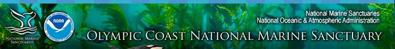 Olympic Coast National Marine Sanctuary Visitor Information section includes Visitor Maps, Featured Places, Discovery Center, Things To Do, and Visitor Links