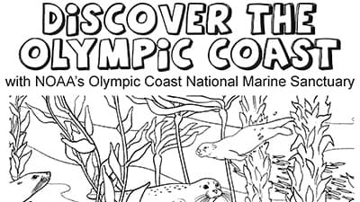 Discover the Olympic Coast cover, marine animals swimming through a kelp forest
