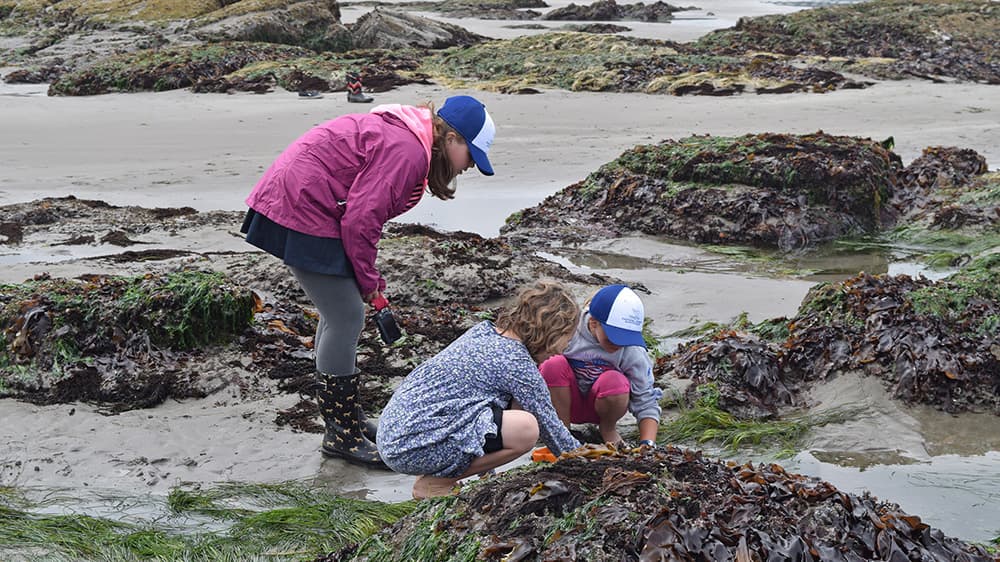 Three youth observe a tide pool at the rocky intertidal