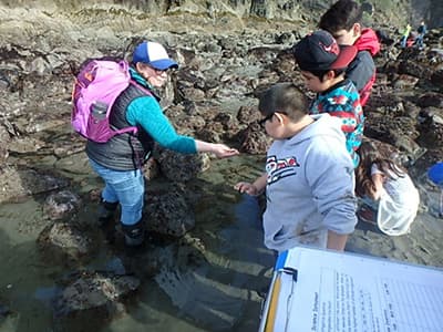 teacher and students exploring an intertidal area