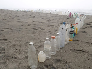 plastic bootles lined up on the beach