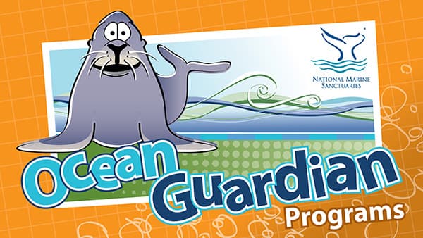 Ocean Guardian programs banner