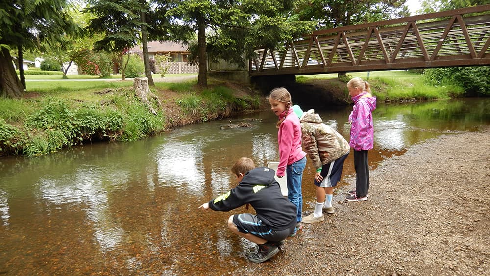 Students stand alongside a creek and look into it with wonder. There is a nearby walking bridge and a house located on the other side of the creek.