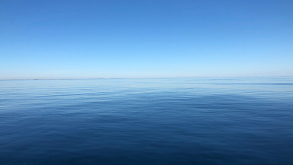The calm blue waters of the open ocean blend into the horizon and the clear blue skies above.