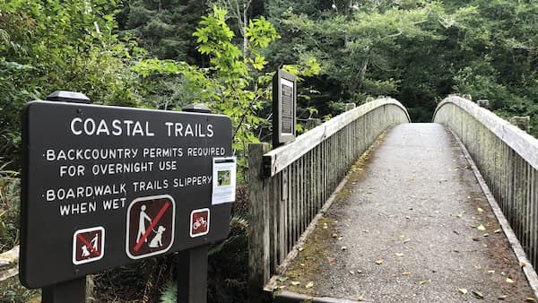 A brown National Park Service sign stating “Coastal Trails: Backcountry permits required for overnight use; Boardwalk trails slippery when wet” accompanied with graphics showing no dogs or bikes allowed, is placed at the trailhead that leads into the woods.