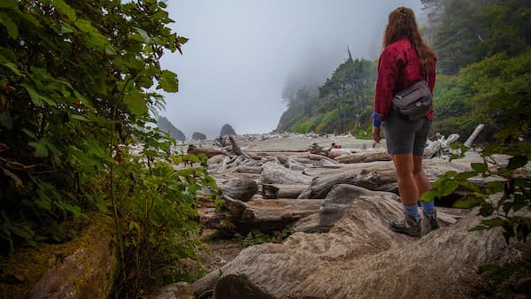 A hiker stands on a large log overlooking the coast filled with more beached logs and a rocky shoreline. 