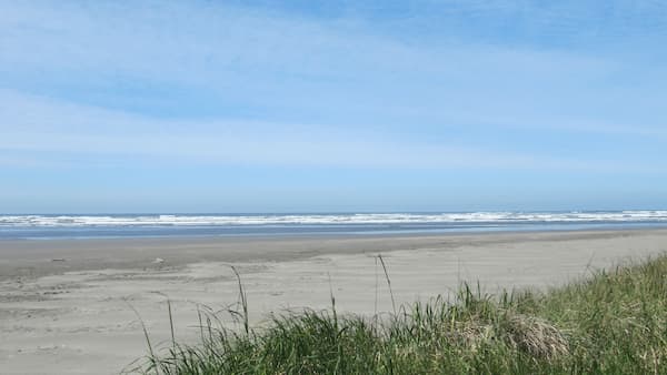 Blue skies and light ocean waves meet the sandy beach shoreline.