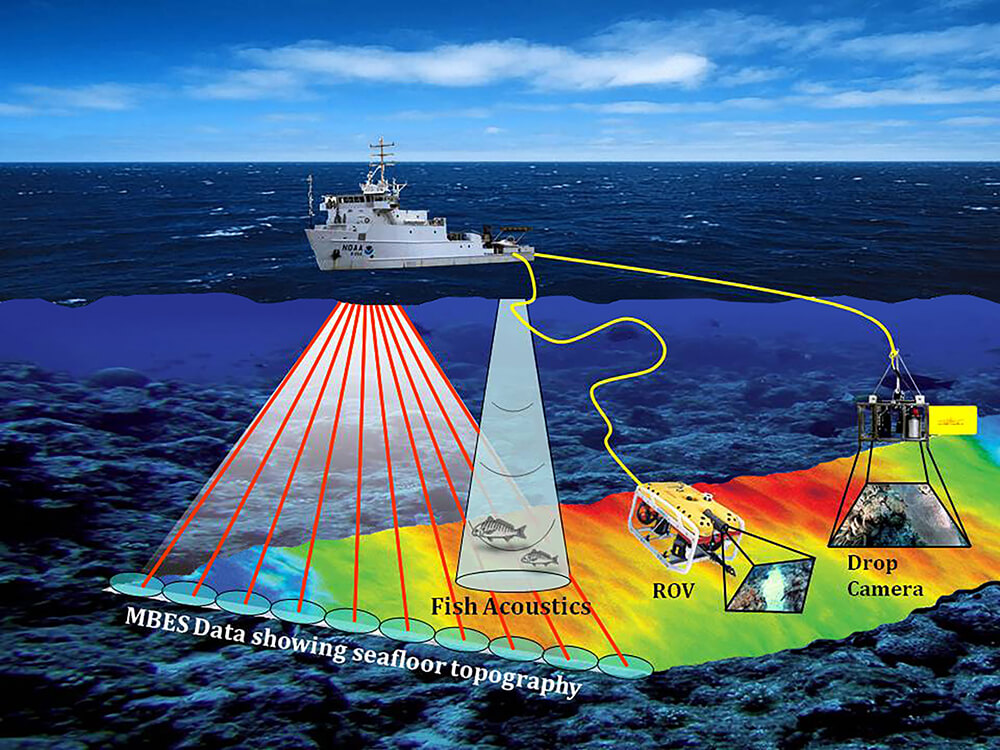 An illustration of a NOAA vessel at sea using scientific equipment to learn about the seafloor. Examples of data collected include seafloor topography and fish acoustics. Additionally, a remotely operated vehicle and drop camera are suspended from the vessel to collect images of the seafloor