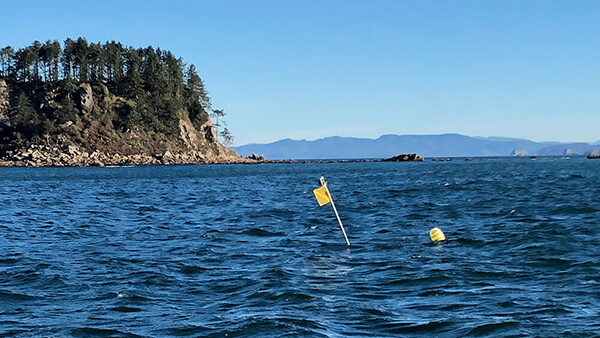 An orange flag and yellow buoy floating in the surface of nearshore waters mark scientific equipment below.