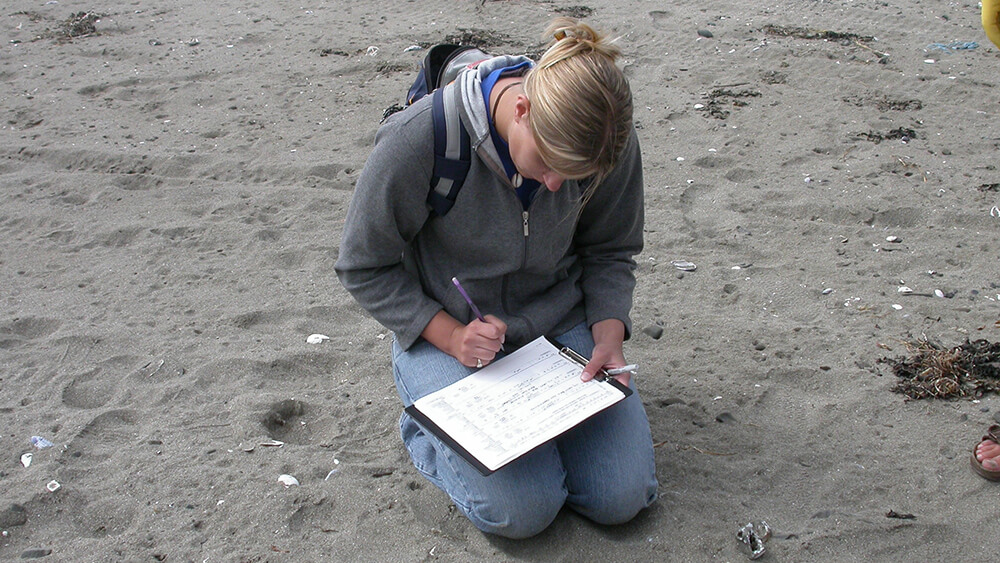 A person kneeling on a sandy beach writes on a data sheet attached to a clipboard.