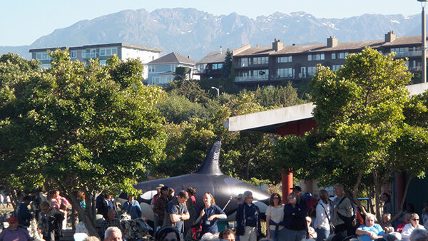 A crowd is gathered at a large event in a mountain-side community. In the center of the crowd is an inflatable orca whale display.