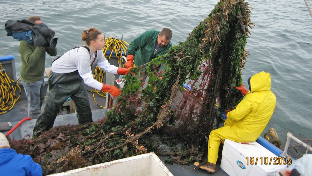 Three people in foul weather gear are on the deck of a boat, handling a large piece of derelict fishing gear that was retrieved from the water with a crane. The derelict fishing gear is covered in algae and other marine life. A fourth person is on the side filming the catch