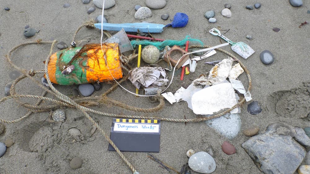 A collectiong of debris at beach clean up