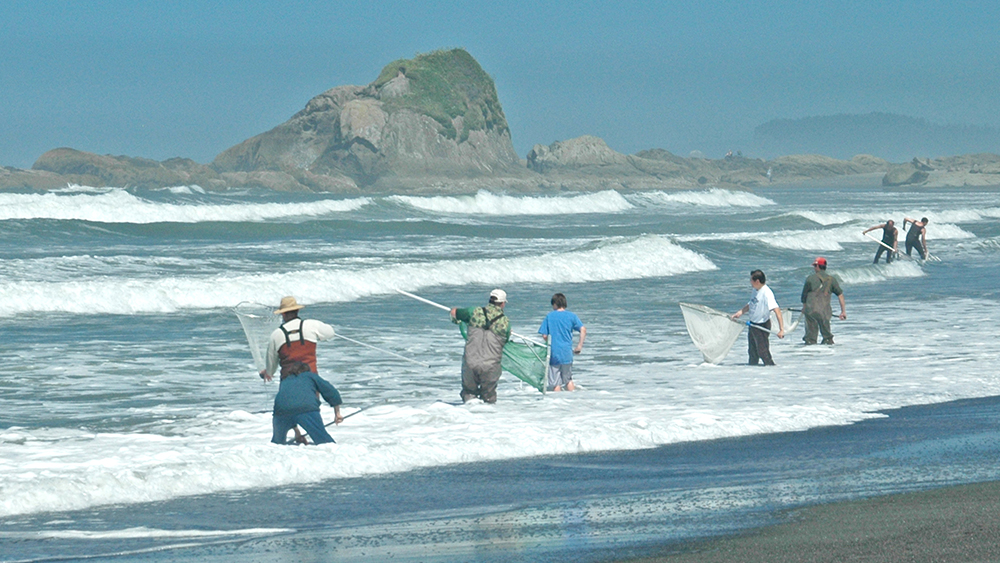 People standing on the shore holding smelt dip nets